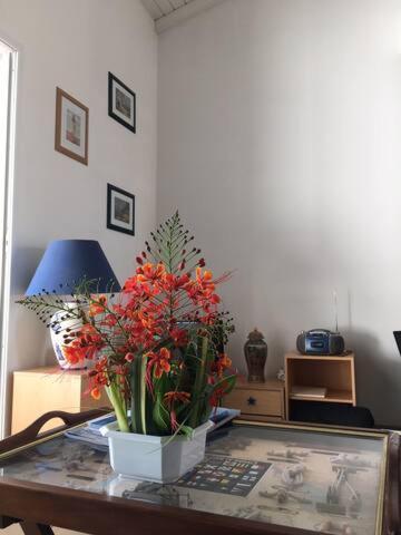 Ravissant Duplex A Saint Francoisアパートメント エクステリア 写真